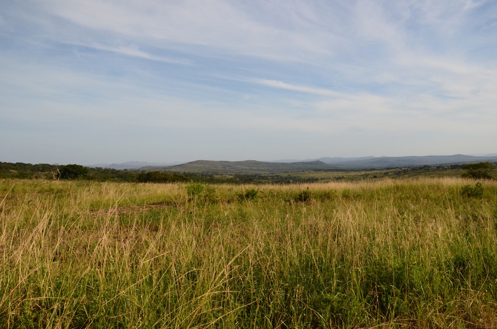 2015-05 South Africa/iMfolozi/DSC_0088.JPG